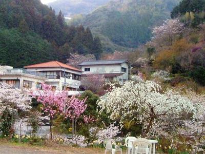 桑田山温泉